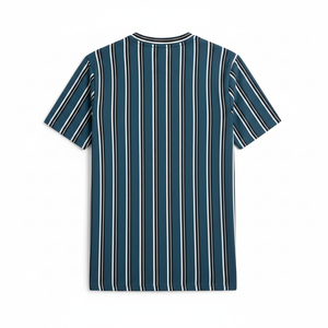 Teal Striped T-Shirt Back View